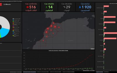 Cours : Cadre Intégré et Infrastructure Nationale des Données Géospatiales