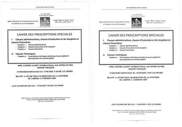 L’appel d’offres Stratégie ANCFCC 2030 : la voie vers une Gouvernance Géospatiale inclusive ?