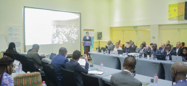 La mise en œuvre de l&rsquo;IGIF en Afrique  : diagnostic opérationnel et vision éthique