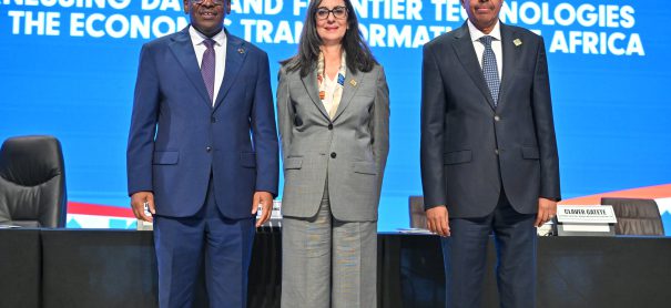 Bâtir des Infrastructures de Connaissance Géospatiales pérennes